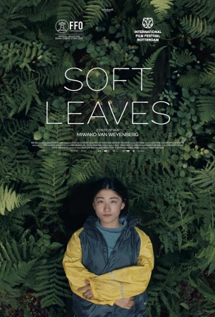 Нежные листья